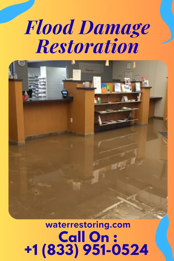 Flood Damage Restoration in Megargel, TX