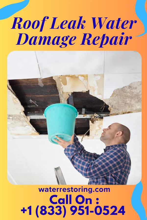 Roof Leak Water Damage Repair in Megargel, TX