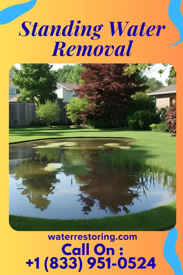 Standing Water Removal in Megargel, TX
